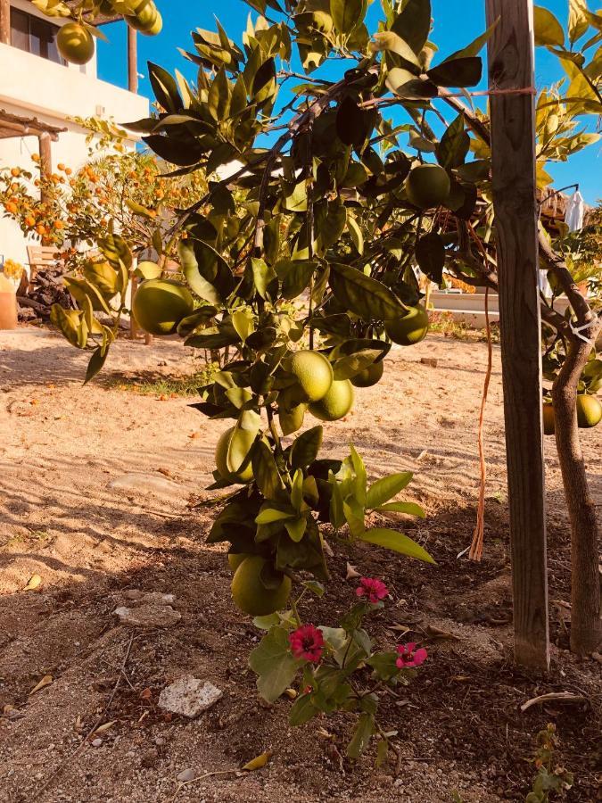 شقة لوس باريليس  في Casa Kinga Barriles المظهر الخارجي الصورة