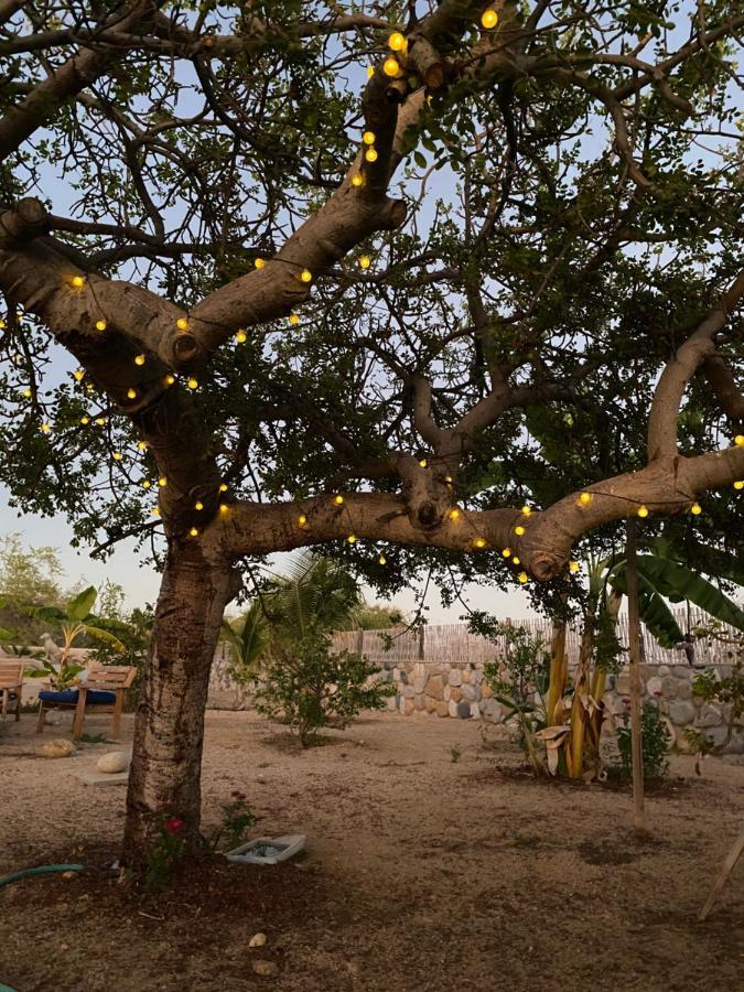 شقة لوس باريليس  في Casa Kinga Barriles المظهر الخارجي الصورة