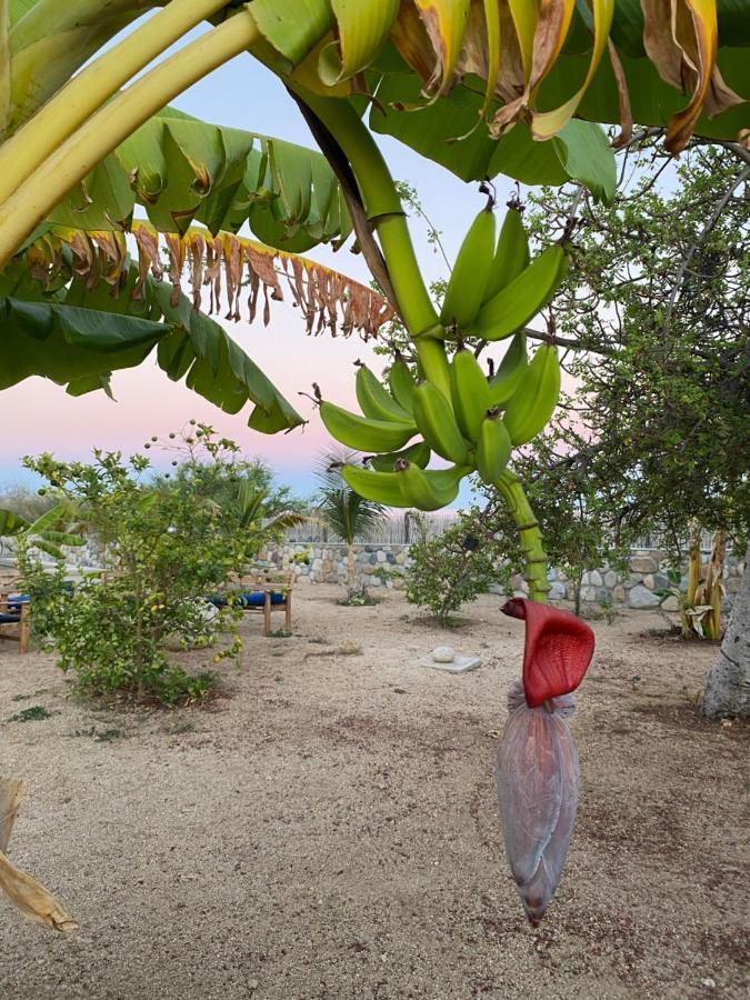 شقة لوس باريليس  في Casa Kinga Barriles المظهر الخارجي الصورة